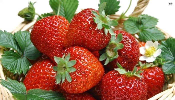 خواص توت فرنگی برای روده_9