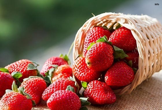 خواص توت فرنگی برای زن حامله_8