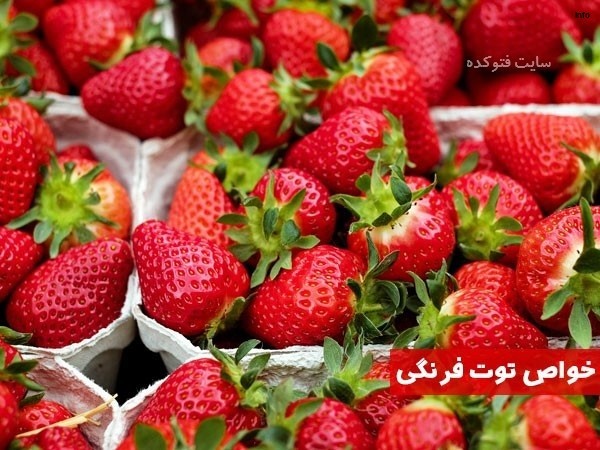 خواص توت فرنگی برای زنان شیرده_8