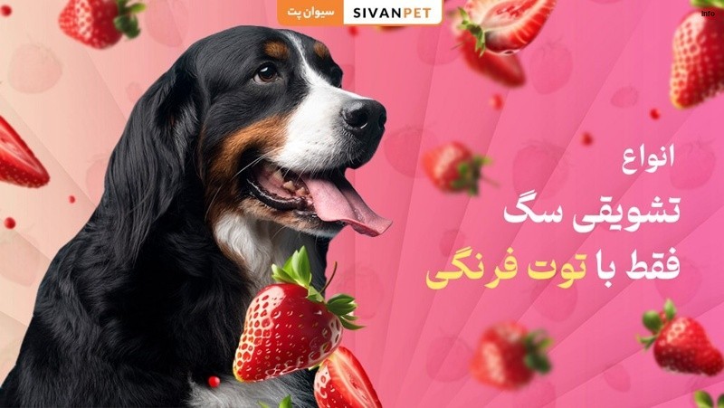 خواص توت فرنگی برای سگ_10
