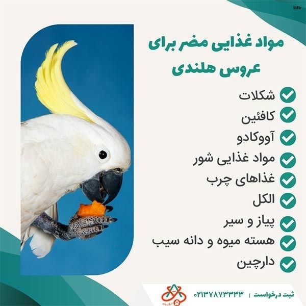 خواص توت فرنگی برای عروس هلندی_8