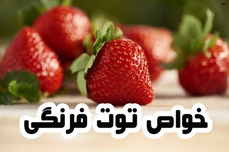 خواص توت فرنگی برای غلظت خون_7