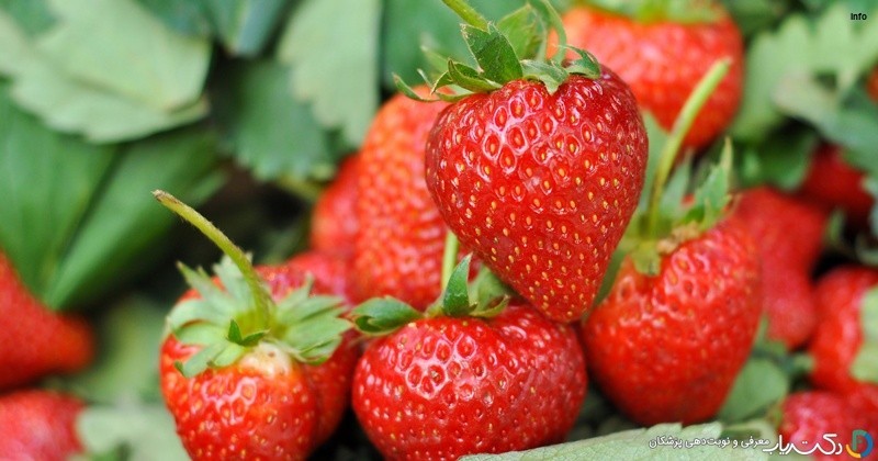 خواص توت فرنگی برای قند خون_3