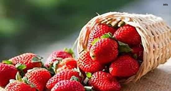 خواص توت فرنگی برای مادران شیرده_1