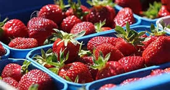 خواص توت فرنگی برای مردان_1