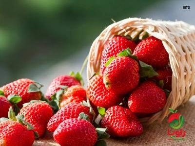 خواص توت فرنگی برای مردان_7