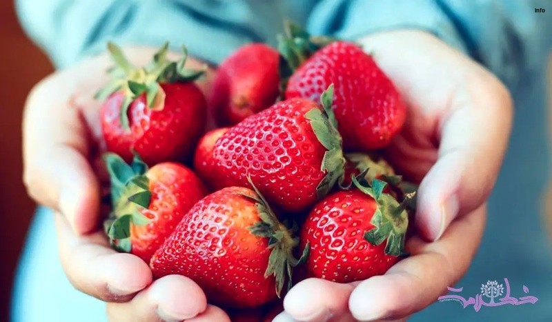 خواص توت فرنگی برای معده_1