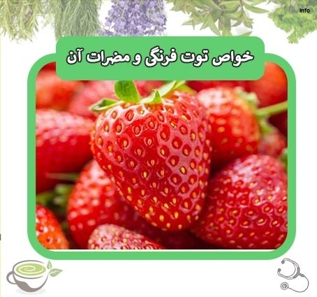 خواص توت فرنگی برای معده_8