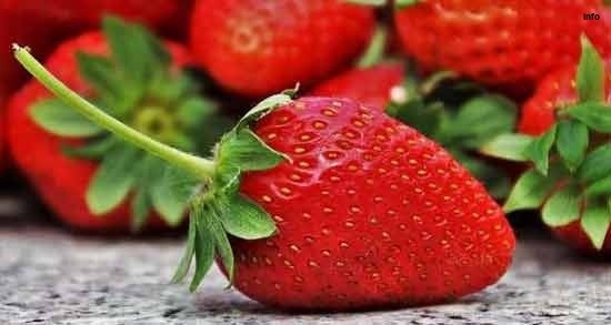 خواص توت فرنگی برای پسردار شدن_9