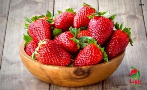 خواص توت فرنگی برای چربی خون_10