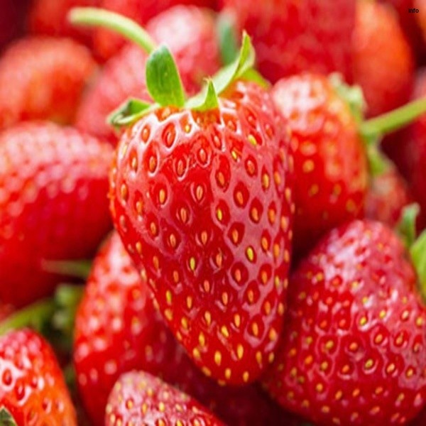 خواص توت فرنگی برای چشم_5