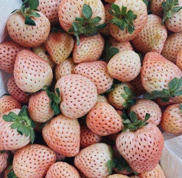 خواص توت فرنگی برای چشم_8