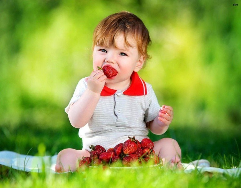 خواص توت فرنگی برای کودک یک ساله_2