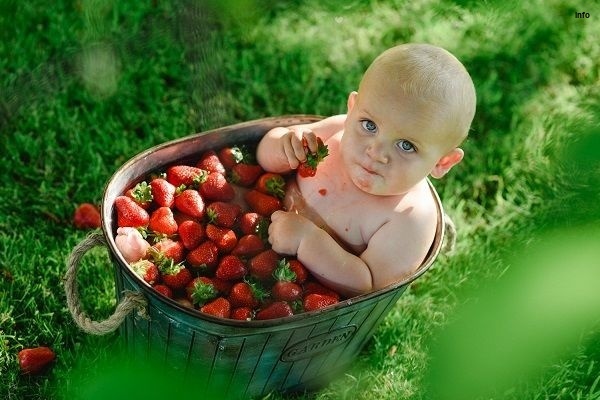 خواص توت فرنگی برای کودک یک ساله_7