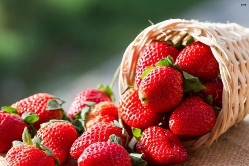 خواص توت فرنگی برای کودک یک ساله_9