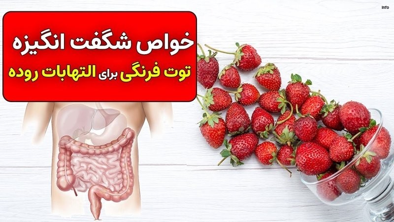 خواص توت فرنگی برای گوارش_4