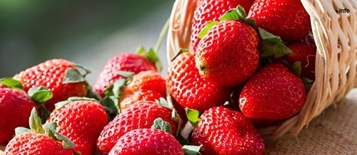 خواص توت فرنگی به زبان عربی_7