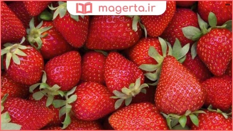 خواص توت فرنگی جنگلی_9