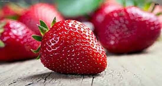 خواص توت فرنگی در بدنسازی_1