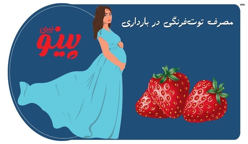 خواص توت فرنگی در سه ماه اول بارداری_2
