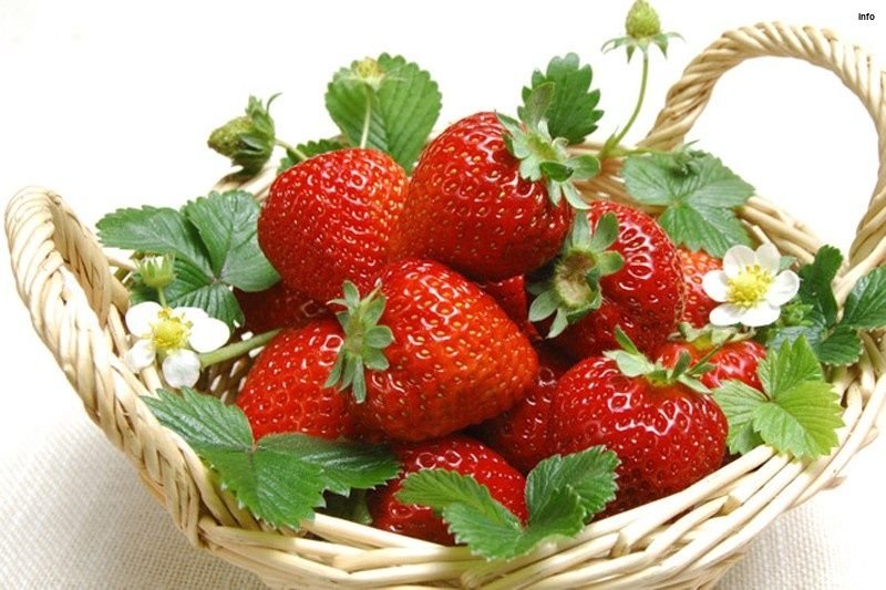 خواص توت فرنگی در طب سنتی_10