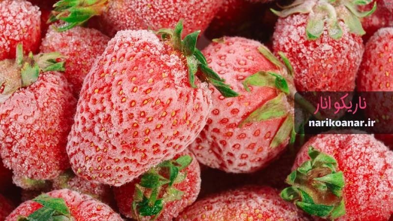 خواص توت فرنگی سفید_8