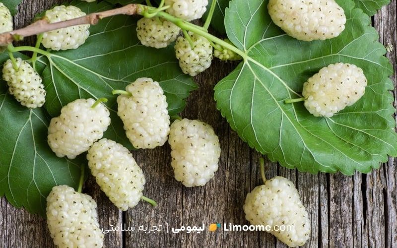 خواص توت فرنگی سفید_9