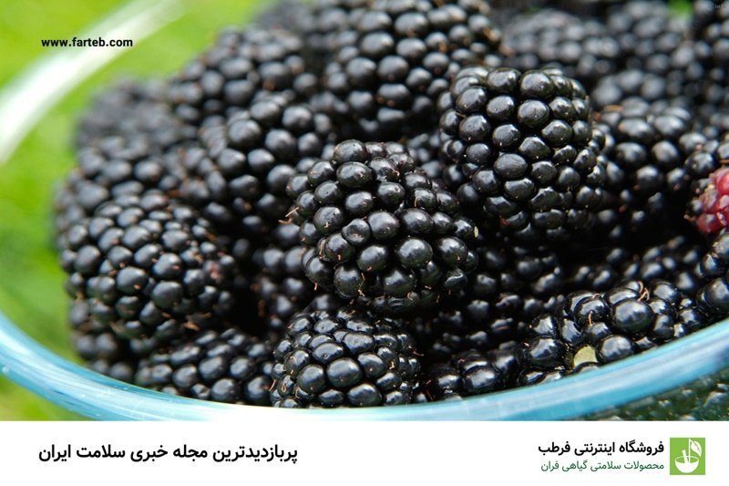 خواص توت فرنگی سیاه_1