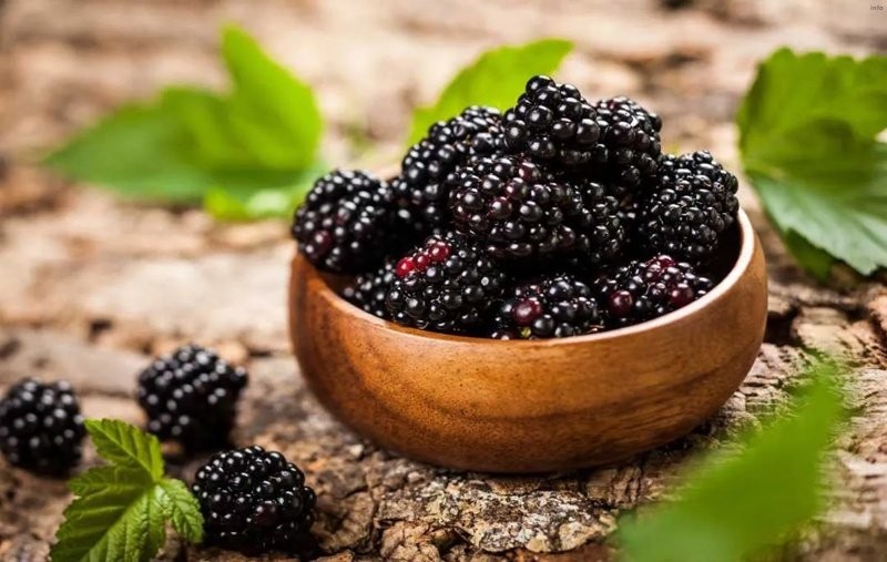 خواص توت فرنگی سیاه_5