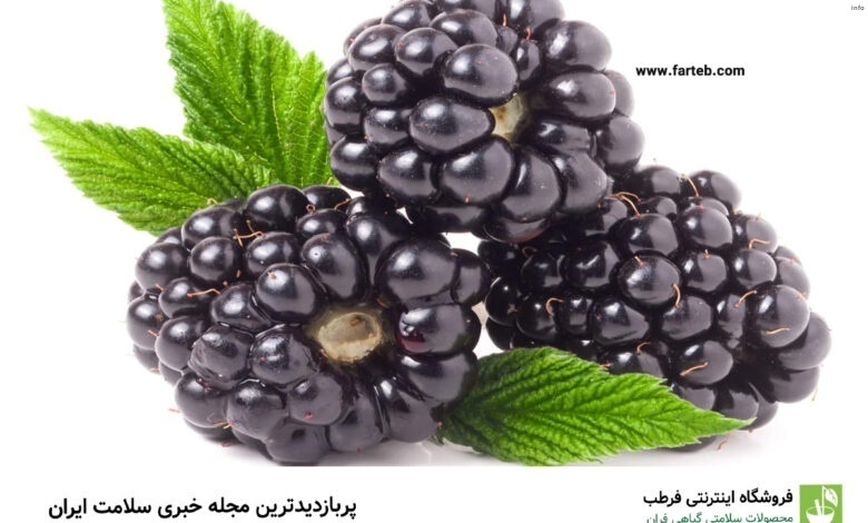 خواص توت فرنگی سیاه_8
