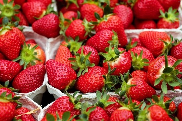 خواص توت فرنگی صبح ناشتا_7