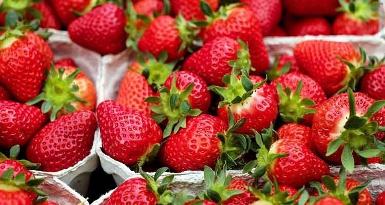 خواص توت فرنگی طبایع_3