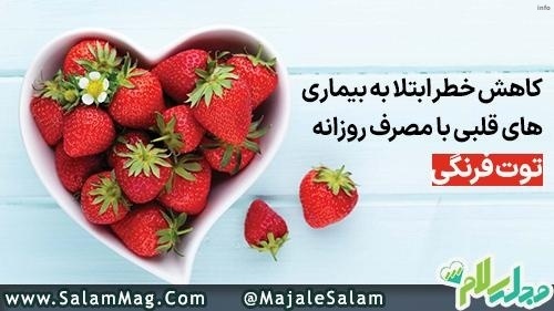 خواص توت فرنگی فشار خون_2