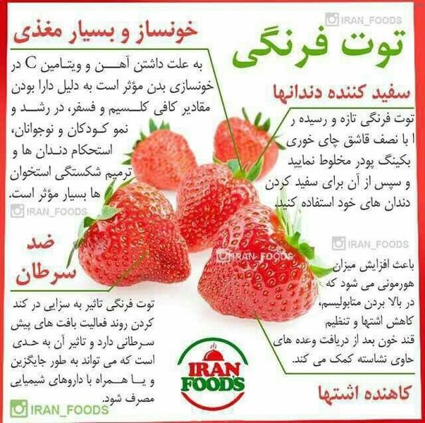 خواص توت فرنگی قبل از بارداری_7