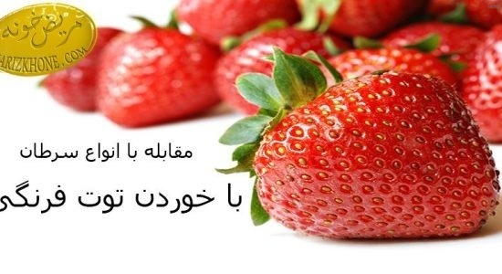 خواص توت فرنگی قبل از بارداری_8