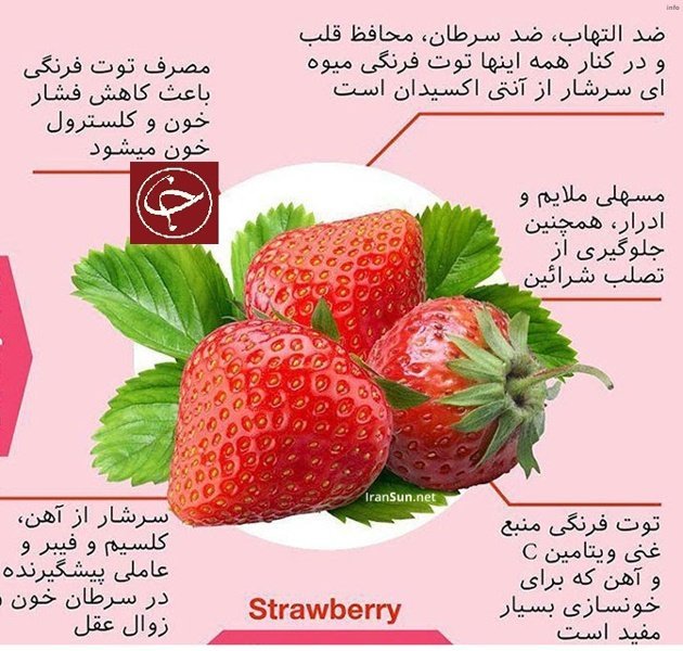 خواص توت فرنگی قرمز_4
