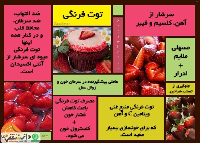 خواص توت فرنگی محلی_5