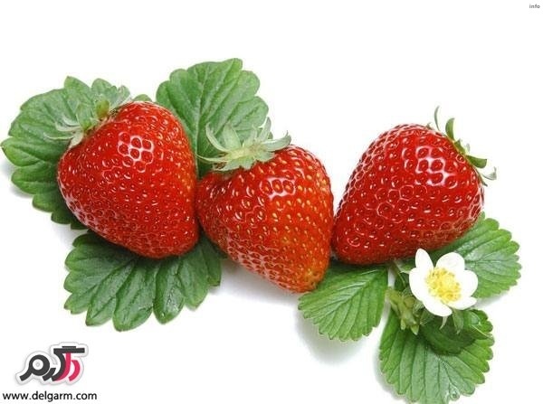 خواص توت فرنگی نارس_9