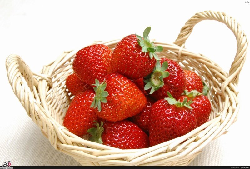 خواص توت فرنگی ناشتا_7