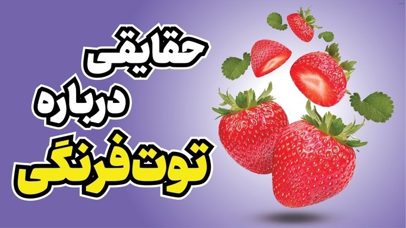 خواص توت فرنگی ناشتا_8