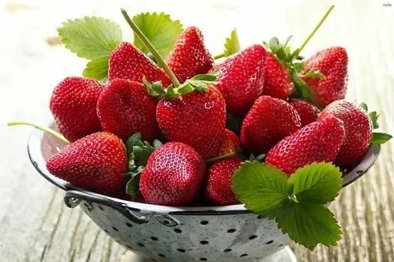 خواص توت فرنگی ناشتا_9