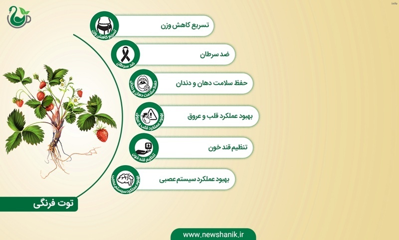 خواص توت فرنگی نیوشا_7