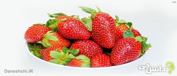 خواص توت فرنگی و طبع آن_10