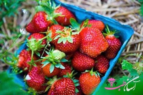 خواص توت فرنگی وحشی_8