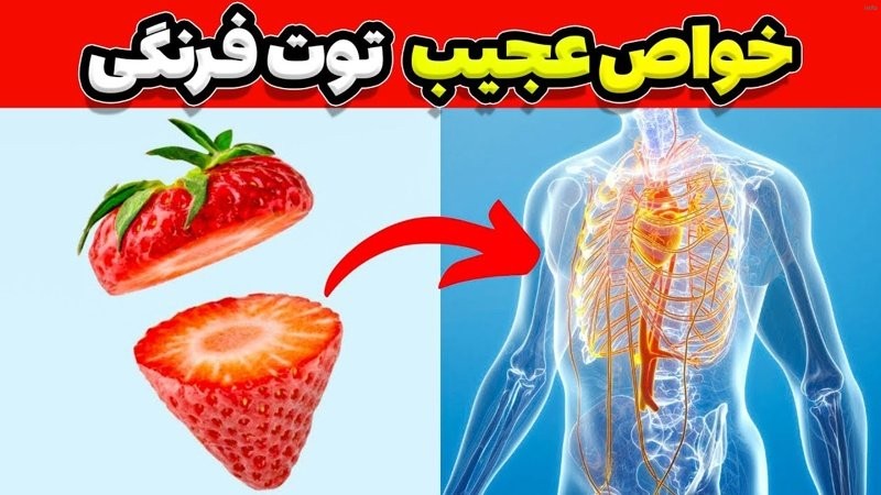 خواص توت فرنگی چی_9