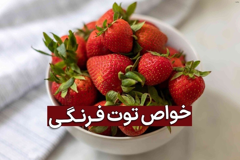 خواص توت فرنگی گرم یا سرد_2