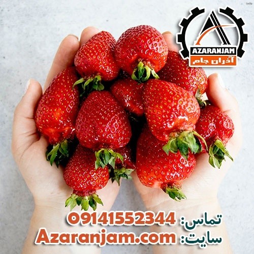 خواص توت فرنگی گلخانه ای_4