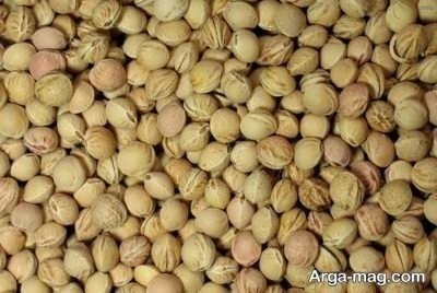 خواص جوشانده هسته گیلاس_3