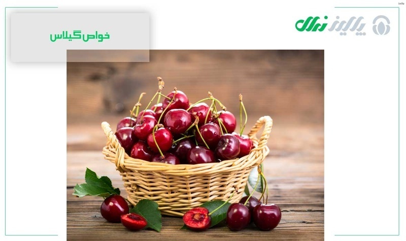 خواص خوردن گیلاس_7