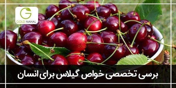 خواص خوردن گیلاس برای پوست_5